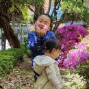 봄샘유치원 이미지