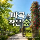 프라임마트 마곡점 | 마곡지구 부동산 생활권이 좋아 보이는 이유, 마곡나루근린공원 산책