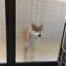 네모네모 이미지