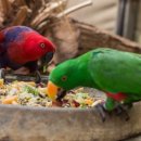 브리더스퀄리티 이미지