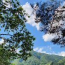 추동물병원 | 윤디콜리의 캠핑라이프