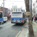 삼성여객㈜ 이미지