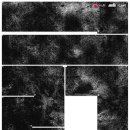 우리공판장 이미지