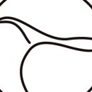 요가스튜디오숨 이미지