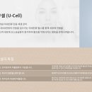 와이디파워 이미지