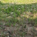 공릉동근린공원 이미지