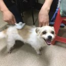 여주-1081 이미지