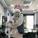 애니카랜드 만수점 이미지