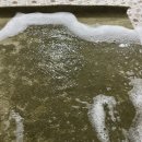 푸른세탁 이미지