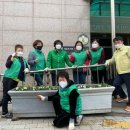 행정복지센터 앞 이미지