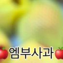 대림청과 - 서대문구 영천시장길 8 | 대림청과