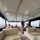 고래이야기 | 몰디브 콘래드 고래상어 투어 후기