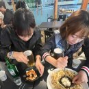 미노연가 이미지