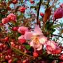 우솔한의원 이미지