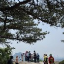 독립문공원길 이미지