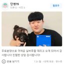 큐티댕냥 하남 본점 강아지 고양이 분양 이미지