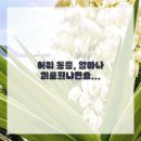 플러스정형외과의원