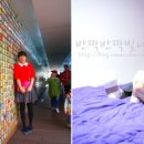 아델리아 캠핑장 이미지