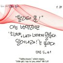 탈리타쿰