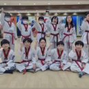 용인대 미르 태권도장 이미지