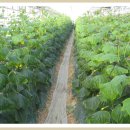 종희농장 이미지