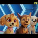 씨티퍼피 이미지