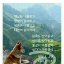 같이 Daum카페