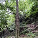 운문사 사리암 산행 이미지