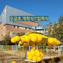 뮤엠영어오금NEST 네이버블로그