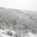 서면동산약국 이미지