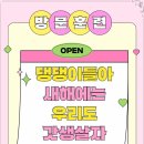 하울 애견 유치원 이미지