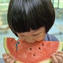 6/26🍉요리요리해-수박놀이1 이미지