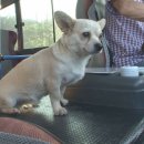 상연농장 이미지