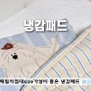 아기 냉감패드 패밀리사이즈 추천 미니멀앤드 내돈내산 후기