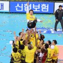 OK스포츠 - 성남시 분당구 장미로122번길 3-1 | OK스포츠