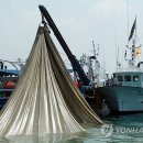 동호동 수협 앞 이미지