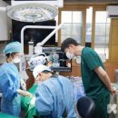 (주)덴티스 이미지