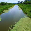 장등공원(바람) 이미지