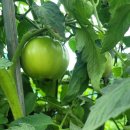 성한농장 이미지