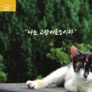 2020-주145 이미지