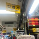 성일사 | 콘사보러 성일사, 연일섬유 할인