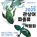 플랜츠비 | 어항 성장기4(25. 11. 28~25. 12. 25): 구피 2차 출산!, 인천 송도 관상어&amp;파충류박람회 후기+니그로워터론