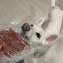 펫쯔스낵 애견수제간식 안산본점 | [안산 펫쯔스낵] 귀여운 강아지 수제간식 후기