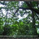 치악산자연휴양림 이미지