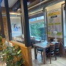 파라솔장어 이미지