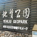 바람이 불어, 초록색 모자 | 10월 대만 여행 추천 | 타이베이 근교 해안 절경 예류지질공원 &amp; 예스지 버스투어 후기