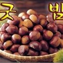 오늘은돼지 Daum카페