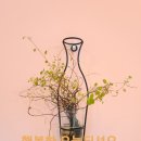 (주)국민건강플러스 이미지