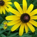 윤성농장 이미지