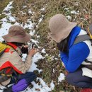 마중오름 이미지